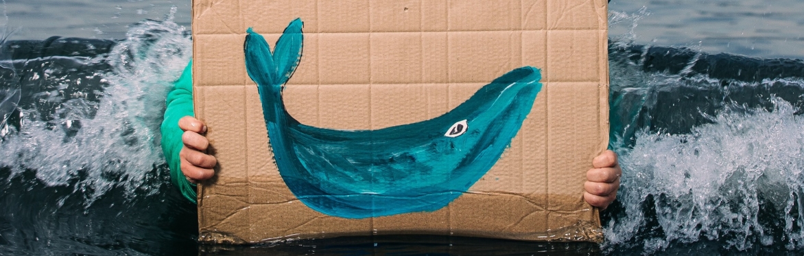 Maya and the Whale (Ullapool, Macphail Centre)