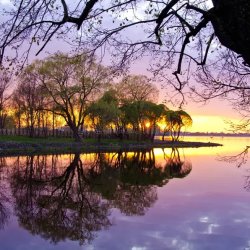 evening sunset over water