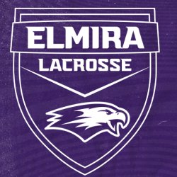 Elmira Women's Lacrosse Prospect Clinic