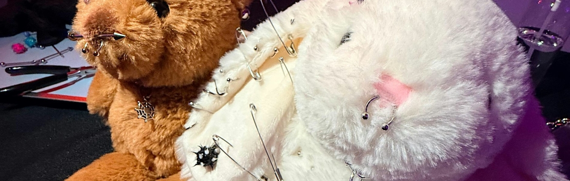 Sip & Create (21 & up) Pierced Stuffed Animal