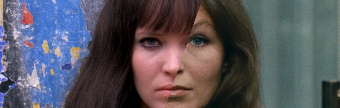 The Wild Palms: Made in U.S.A & 2 or 3 Things I Know About Her
