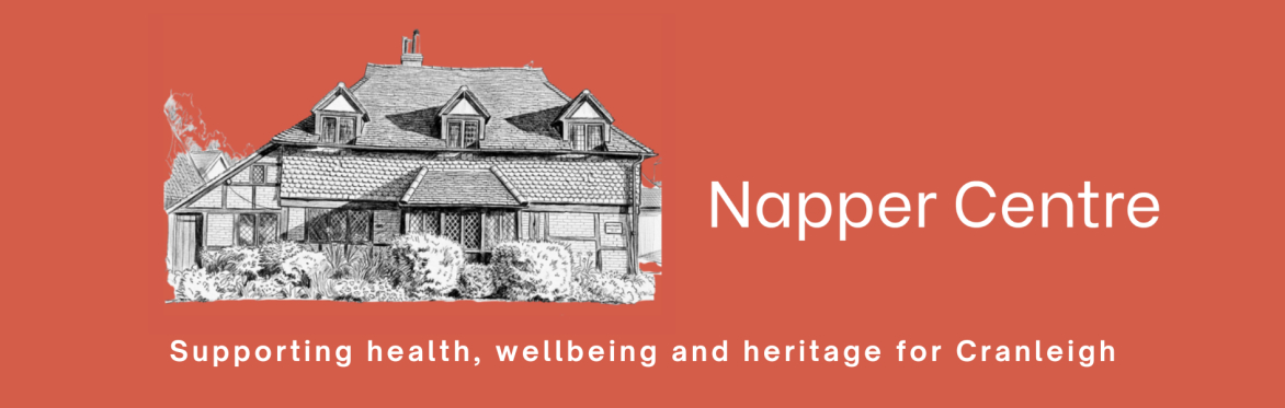 The Napper Centre Building