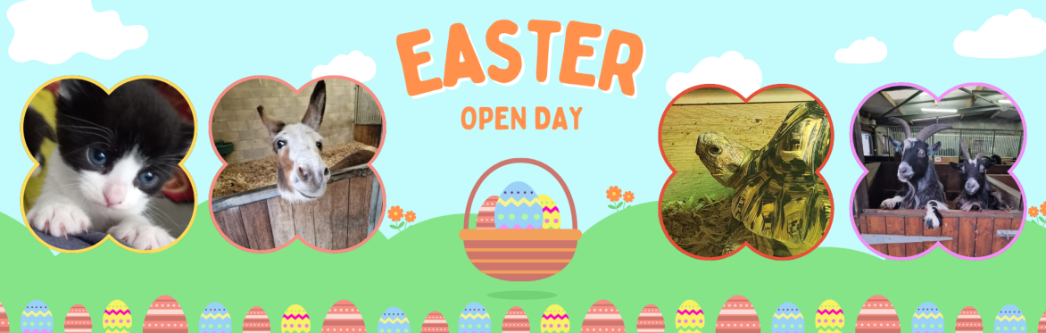 Easter Eggstravaganza 2025