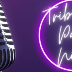 Abba Tribute with 3 course Christmas meal & DJ