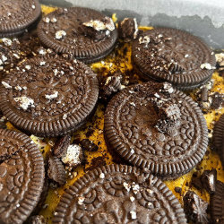 The Chocolate Baking Experience
