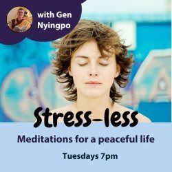 Stress-less: Meditations for a peaceful life