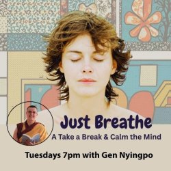 Just breathe: Take a break and calm the mind