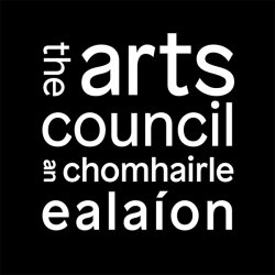 White text on black background reads 'the arts council an chomhairle ealaíon'