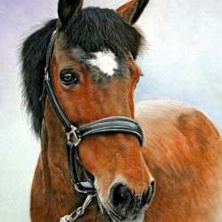 The Art of the Horse Tour & Have a Go Session