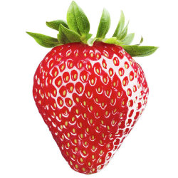 2026 Strawberry Festival Guided Tours of Historic Potts Mansion