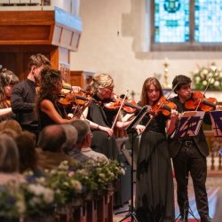 Serene Summer Strings