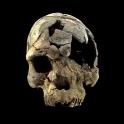 From Murder to Miscarriage – Osteoarcheology Talk by Caoimhe Ni Thoibin
