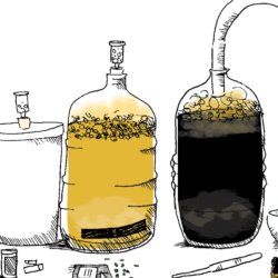 Beer Brewing for Beginners