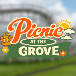 Picnic at the Grove