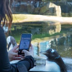 Late night openings at Edinburgh Zoo