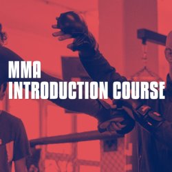 Mixed Martial Arts Introduction Course