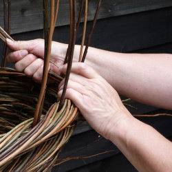 Willow Weaving Workshops with Deb Hart