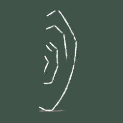 Anatomy Course - Ears