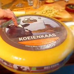 Dutch Cheese Tasting with Wine or Beer