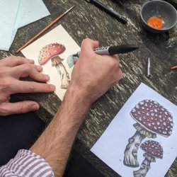 Botanical Painting with Jenny Challenger
