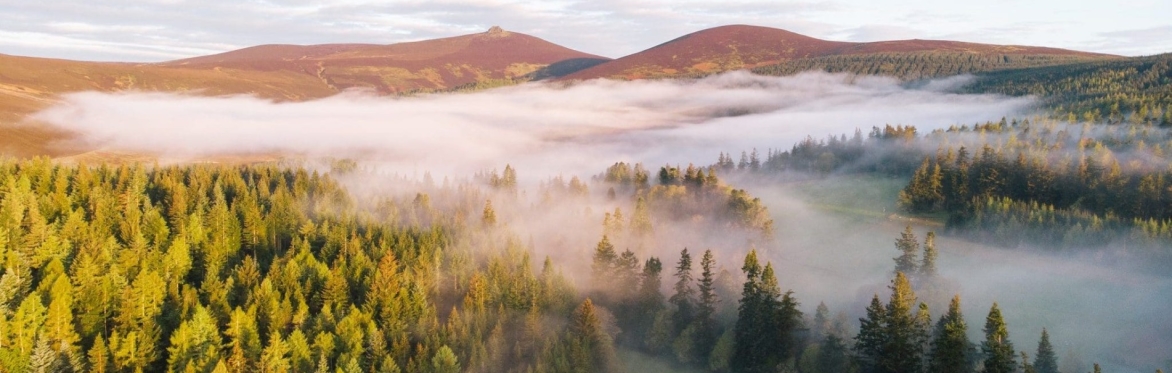 Unfurl:              spring in the scottish highlands