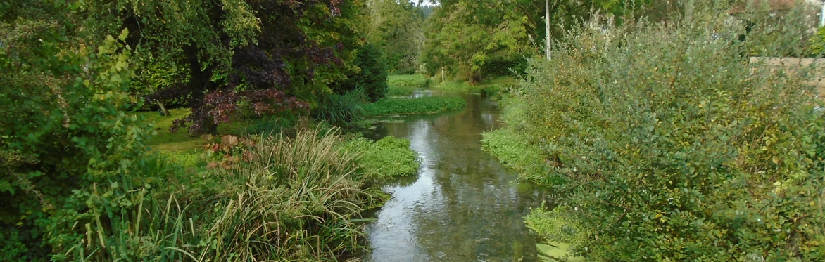 Longbridge Deverill - Walking Festival
