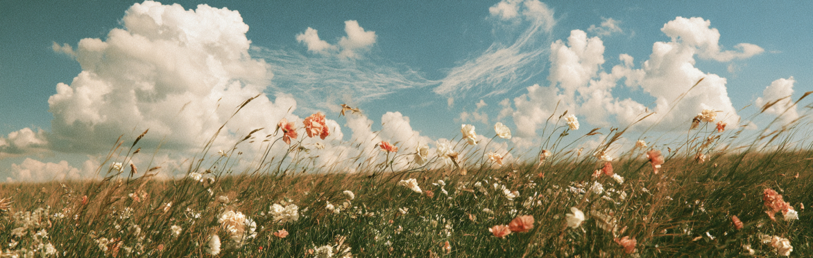 Online Breathing Journey