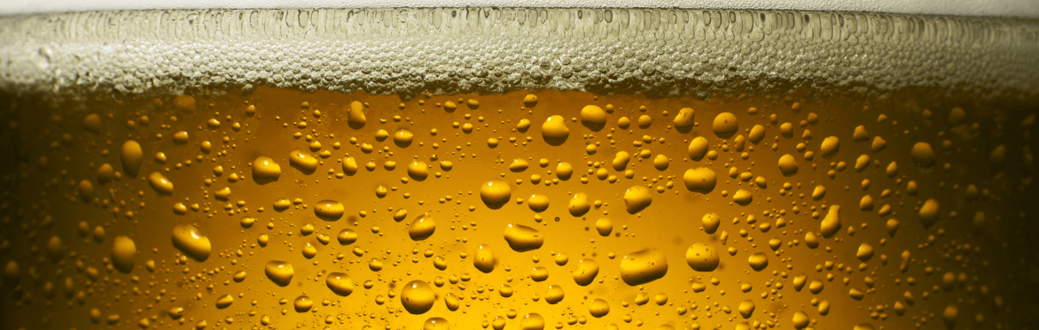 2026 Elmhurst Craft Beer Fest