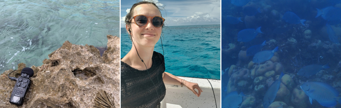 3 photographs showing a young white woman, smiling with sunglasses, recording from the sounds of sea with her recorder from the rocky coastline, from a boat, and from underwater with fish swimming
