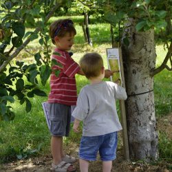 Summer Holiday Trail and Picnic