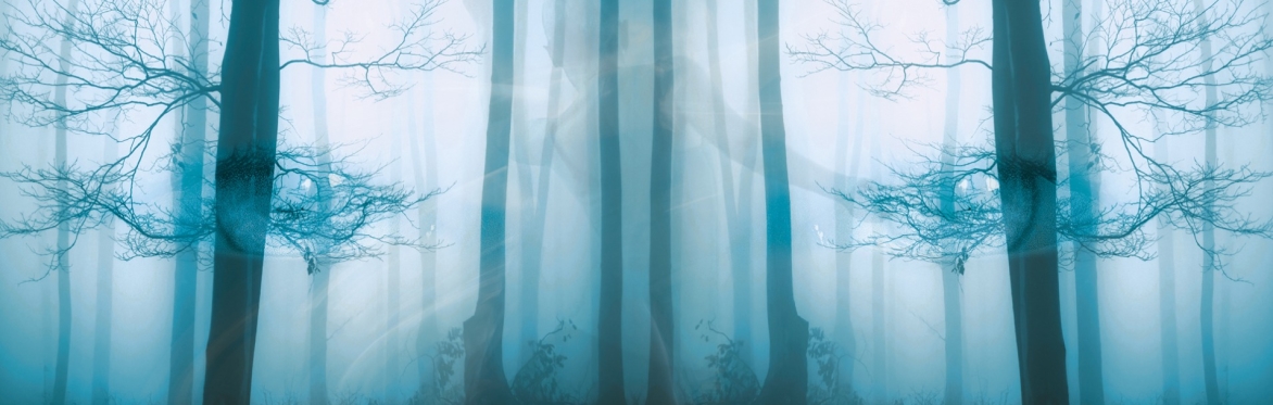 Somatic Nature