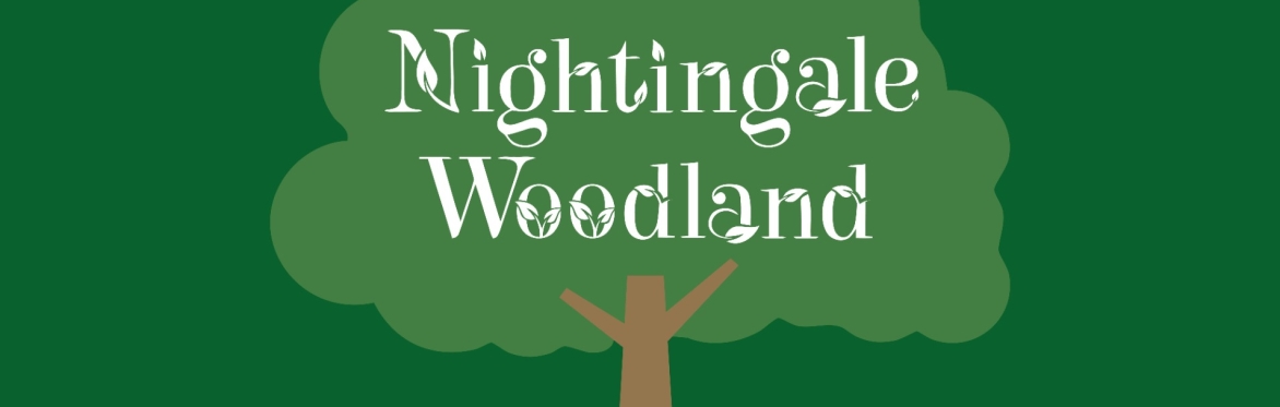 The Nightingale Woodland
