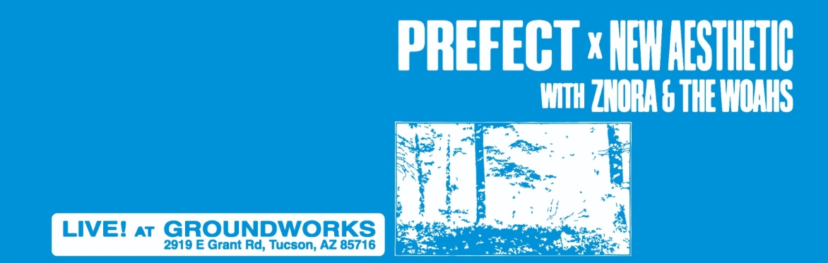 New Aesthetic (CA) ,﻿ Prefect (PHX), ﻿ZNORA, The Woah's