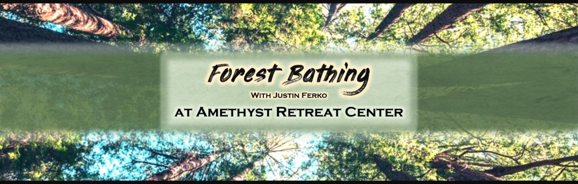 Forest Bathing