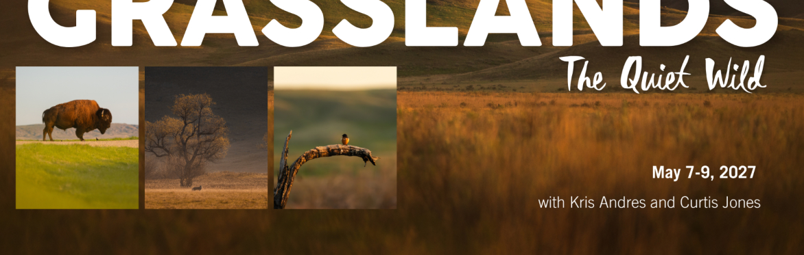 Grasslands: The Quiet Wild