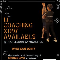 1:1 Coaching Slots