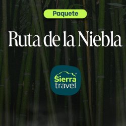Ruta de la Niebla: Descubre la Magia de Teziutlán