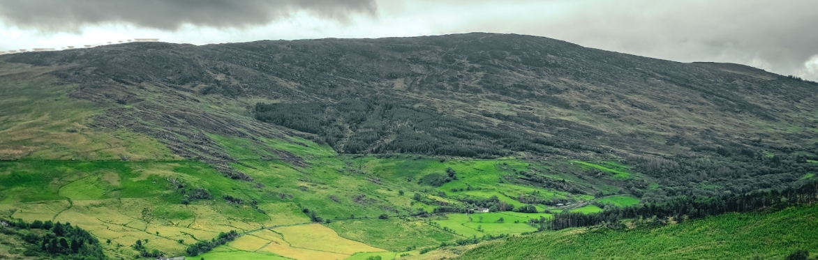Online Writing Course: 'Landscapes' with Dr Craig Jordan-Baker