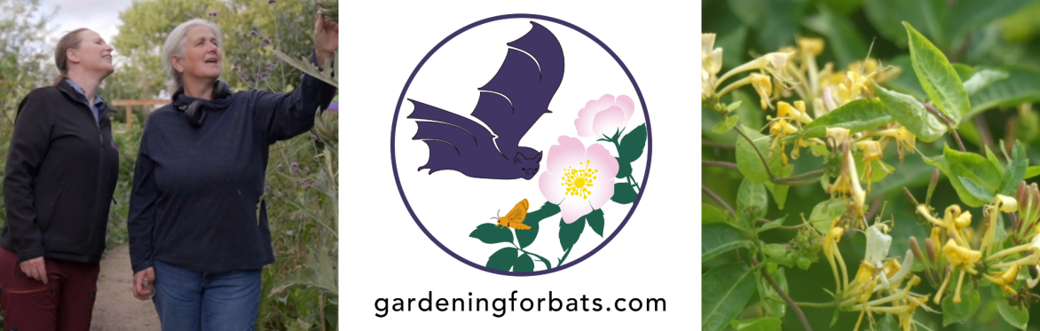 Gardening for Bats Workshop