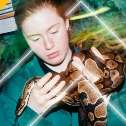 Kirklees College October Open Day - Taylor Hill Animal Centre