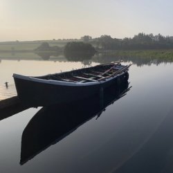 Rowers out on a Sunny Day on the Lake