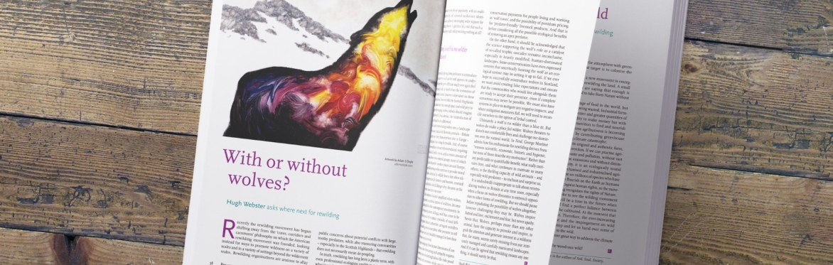 Resurgence Readers' Group: With Hugh Webster, author of the article 'With or Without Wolves? 'Where next for Rewilding''