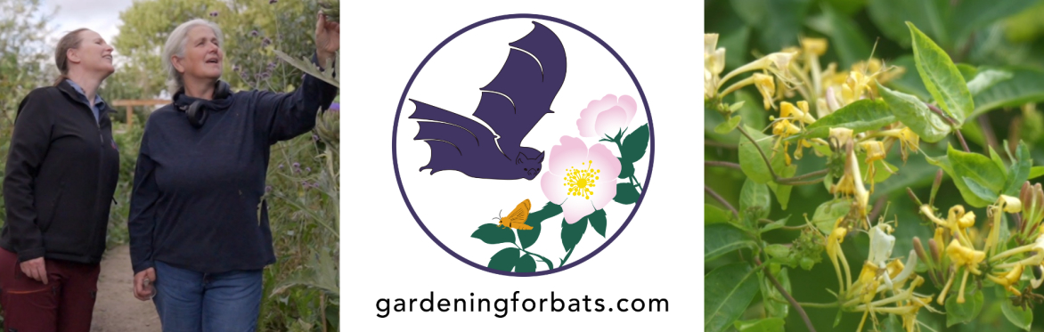Gardening for Bats Workshop