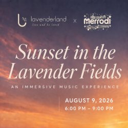 Lavenderland x merrodi presents: Sunset in the Lavender Fields