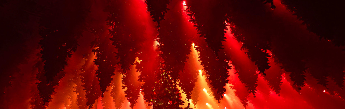 WINTERLIGHTS