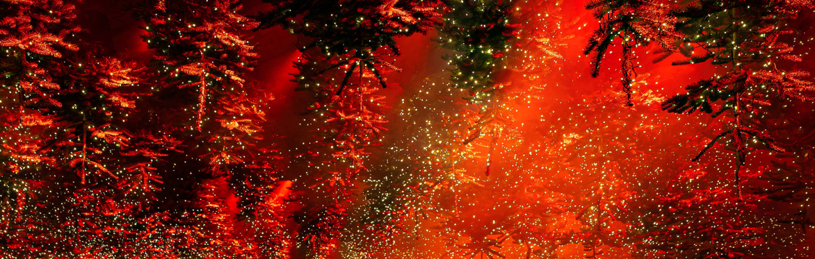 WINTERLIGHTS Lichtshow im Freien / Outdoor Lightshow