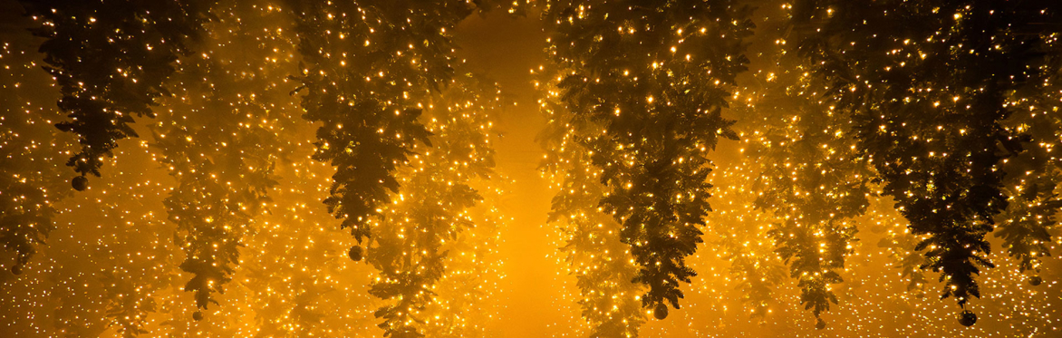 WINTERLIGHTS Sonderausstellung / Special Exhibition