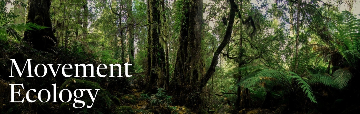 Movement Ecology for Food & Land Justice: 3-day training