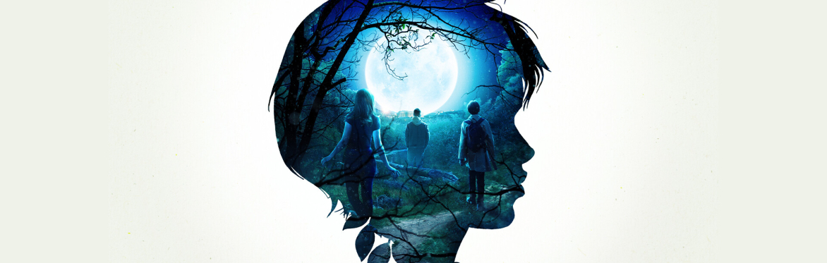The Vanishing Forest