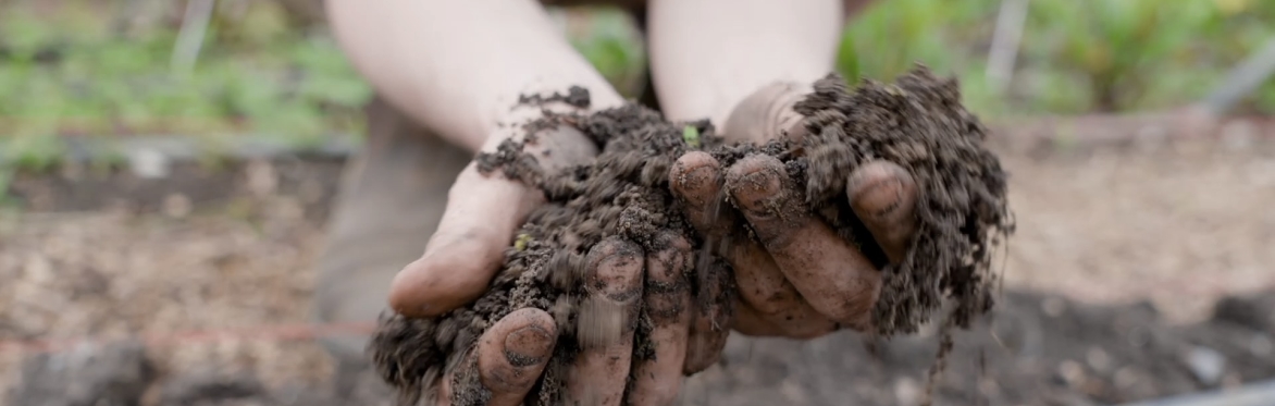 Soil to Feast - an all ages celebration of Soil, Food and Farming